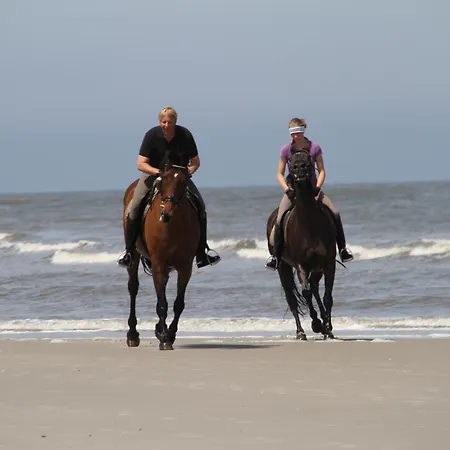 דירה Haus Oldenburg - 3 Mit Balkon וגנרוגה