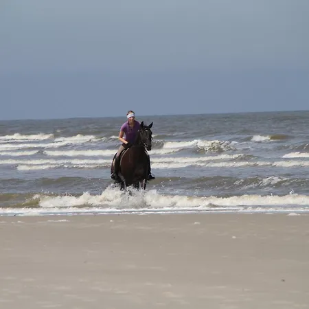 דירה Haus Oldenburg - 3 Mit Balkon *